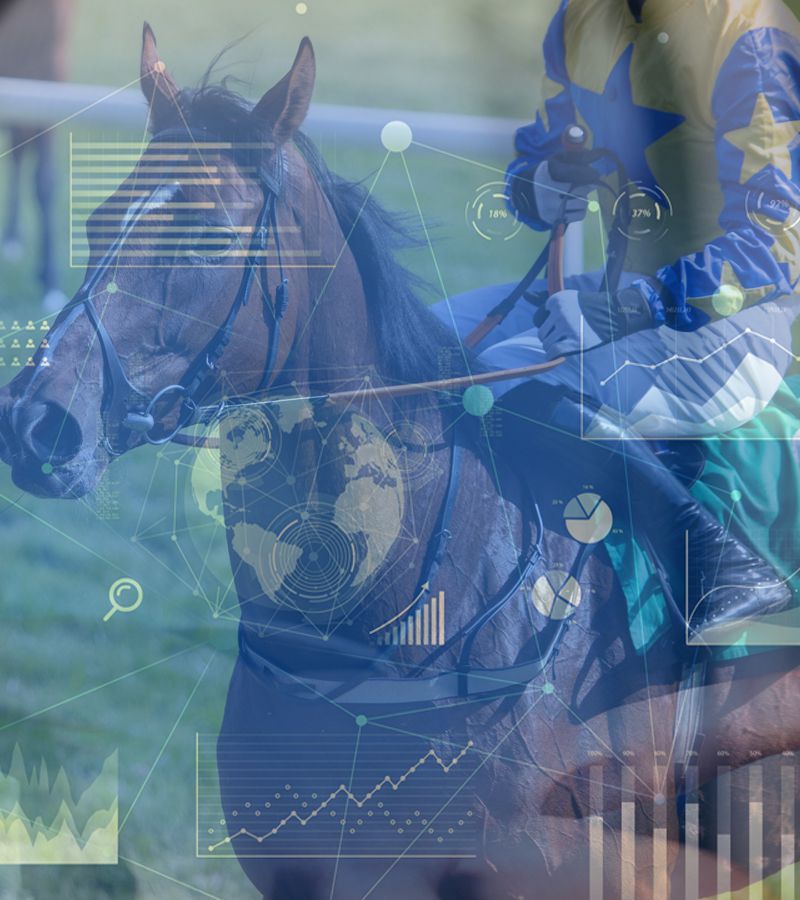 Horse Racing Bet Data - Mobile Slide Three